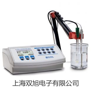 【雙旭牌】溶解氧分析儀JPSJ-605供應商