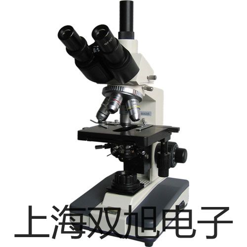 pơTL-Q5MD2ӽ_(ki)P(gun)TL-Q5MD2r(ji) 