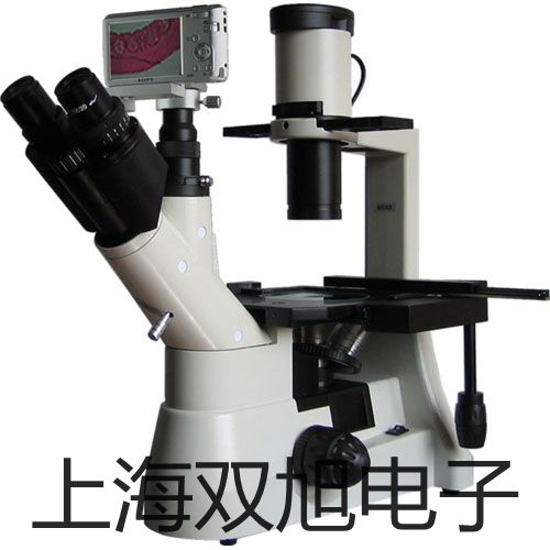 pơ늸Љ׃YSG-2YSG2r(ji) 