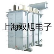 【雙旭牌】專業(yè)型pH計(jì)/電導(dǎo)計(jì)/離子計(jì)PP-20-P11參數(shù)
