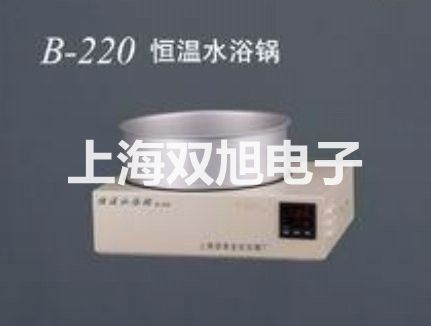 【雙旭牌】DT-8890系列 專業(yè)差壓計(jì)廠家