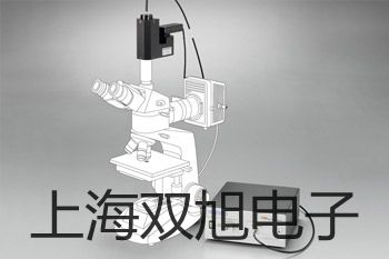 pơWSS-521pٜضӋr 