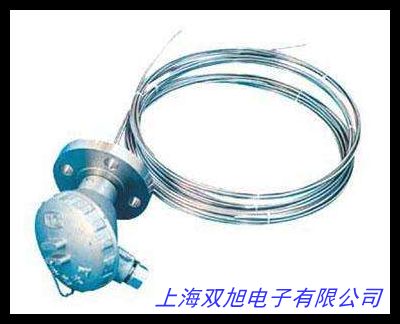 鎧裝鉑熱電阻WZPD-200銅電阻